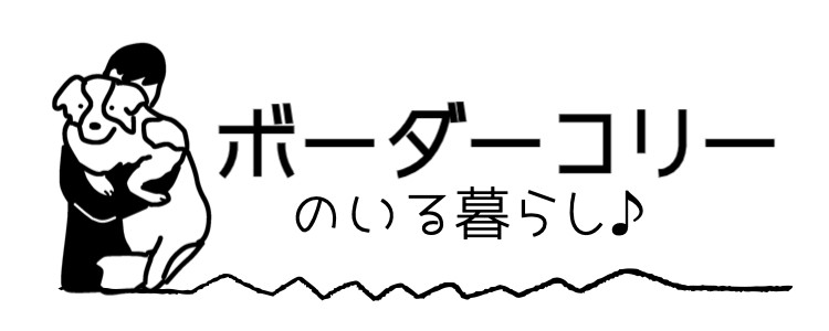 cook 今日なに作ろ？